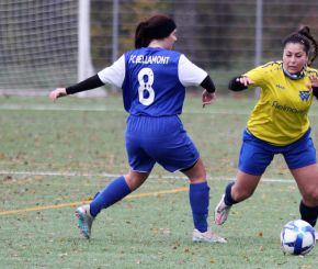FCW - Bellamont II4.jpg