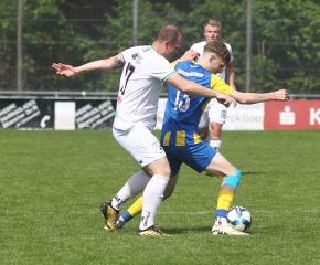 FCW - Ringschnait14.jpg