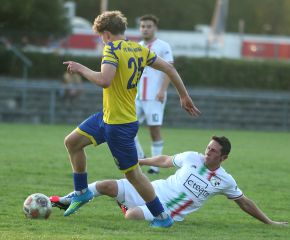 FCW - SGM Ringschnait29.jpg