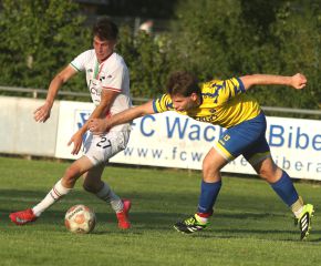FCW - SGM Ringschnait8.jpg