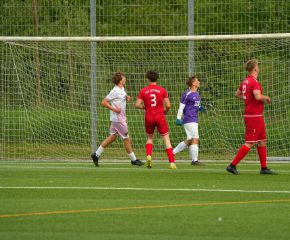 FCW- TSV TT20.jpg
