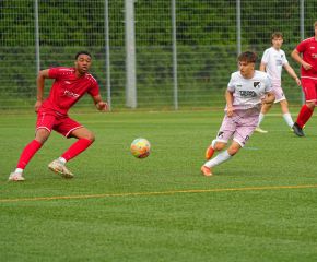 FCW- TSV TT4.jpg