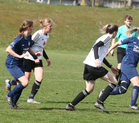 KIrcb-Dettg. - FCW8.jpg