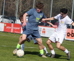 Laupertshausen - FCW7.jpg