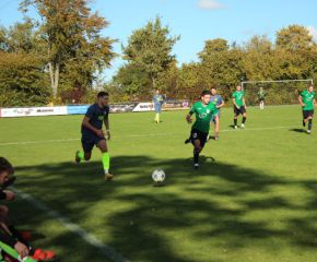 SGM RIngschnait - FCW10.jpg