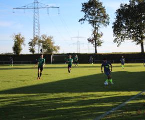 SGM RIngschnait - FCW128.jpg