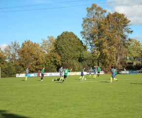 SGM RIngschnait - FCW20.jpg
