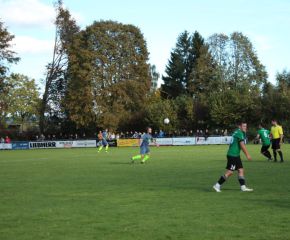 SGM RIngschnait - FCW28.jpg