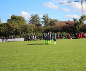 SGM RIngschnait - FCW3.jpg