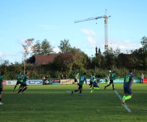 SGM RIngschnait - FCW36.jpg