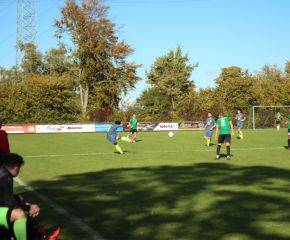 SGM RIngschnait - FCW52.jpg
