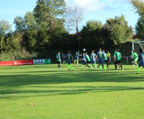 SGM RIngschnait - FCW56.jpg