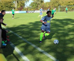 SGM RIngschnait - FCW68.jpg