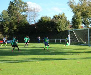SGM RIngschnait - FCW72.jpg