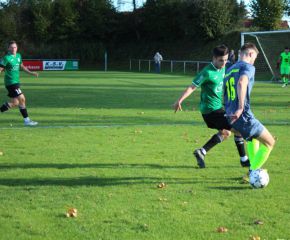 SGM RIngschnait - FCW90.jpg