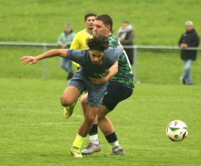 Alberweiler - FCW17.jpg