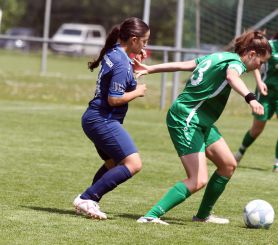 Alberweiler II - FCW29.jpg
