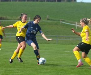 Alberweiler IIi - FCW34.jpg