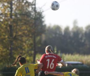 Baltringen - FCW1.jpg