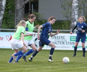 Bellamont II - FCW 23-2419.jpg