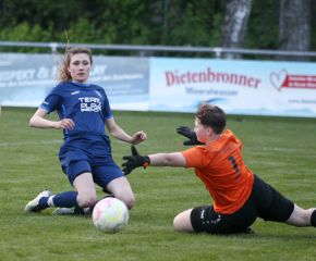 Bellamont II - FCW 23-2423.jpg