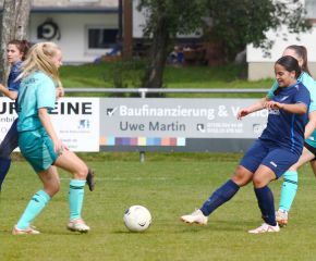 Bellamont II - FCW25.jpg