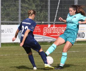 Bellamont II - FCW8.jpg