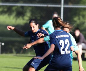 Bellamont III-FCW22.jpg