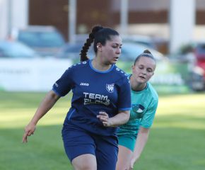 Bellamont III-FCW27.jpg