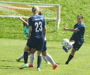 Dettingen-FCW14.jpg