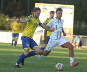 FCW - SGM Ringschnait24.jpg