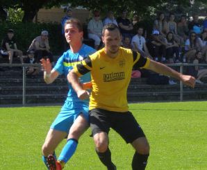 Laupertshausen33.jpg
