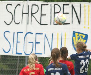 Reinstetten - FCW4.jpg