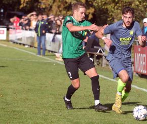 Ringschnait - FCW22.jpg