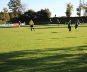 SGM RIngschnait - FCW109.jpg