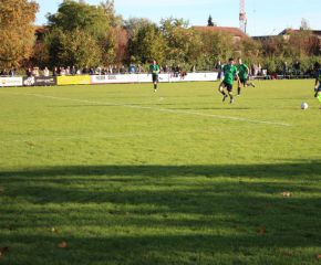 SGM RIngschnait - FCW122.jpg