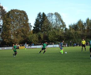 SGM RIngschnait - FCW35.jpg
