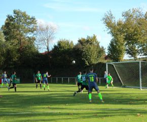 SGM RIngschnait - FCW42.jpg