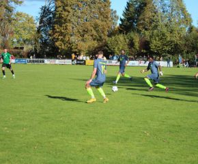 SGM RIngschnait - FCW78.jpg