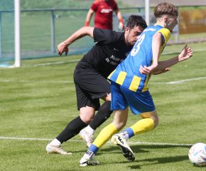 Schemmerhofen I - FCW I17.jpg