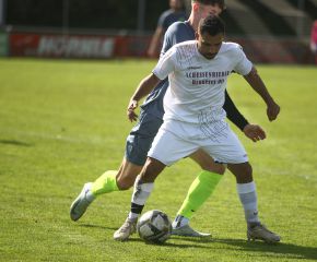 Schussenried II - FCW4.jpg