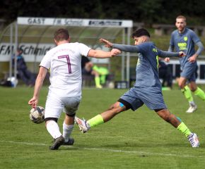 Schussenried II - FCW40.jpg