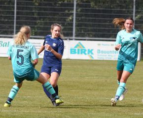 Bellamont II - FCW35.jpg