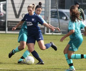 Bellamont II - FCW5.jpg