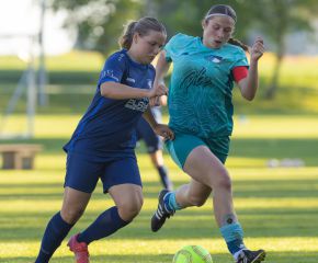 Bellamont III-FCW9.jpg