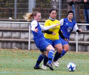 FCW - Bellamont II16.jpg