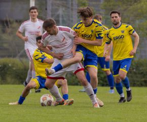 FCW - Neufra15.jpg