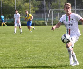 FCW - Ringschnait33.jpg