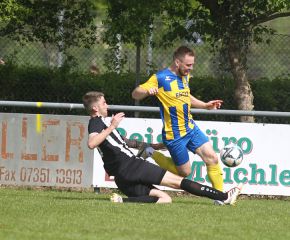 FCW - Schwendi14.jpg