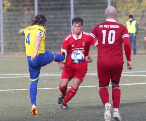 FCW II - Detingen II19.jpg